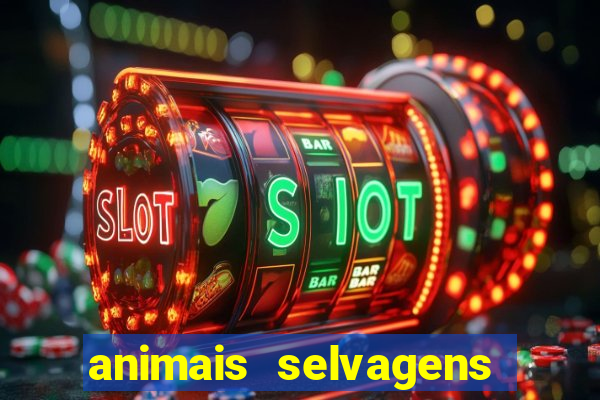 animais selvagens fotos e nomes